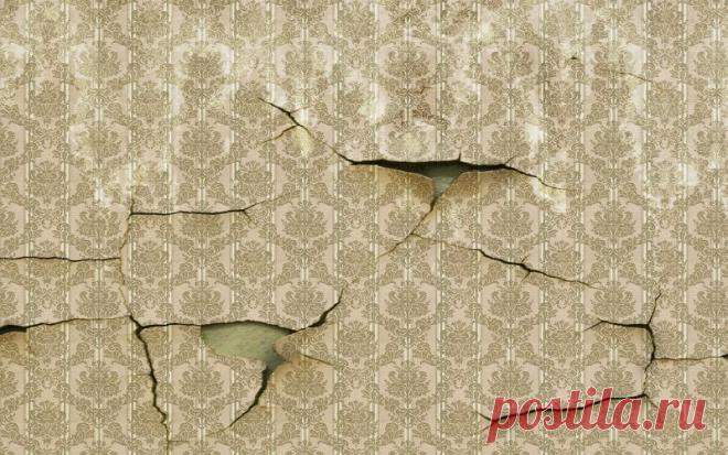 Пошаговая инструкция для подготовки стен к поклейке обоев: 50 фото и 2 видео