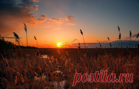 Рассветы, закаты..