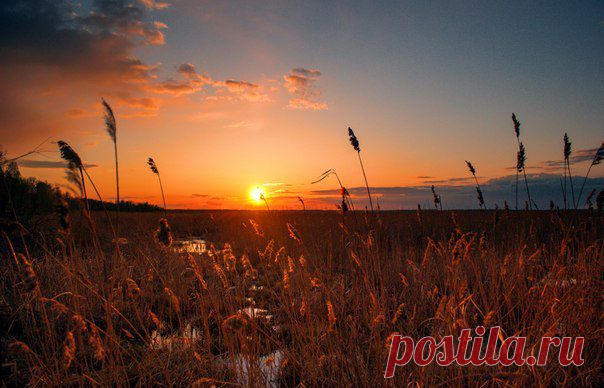 Рассветы, закаты..