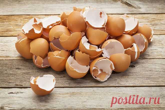 ЛЕКАРСТВА ИЗ… ПРОДУКТОВЫХ ОТХОДОВ
