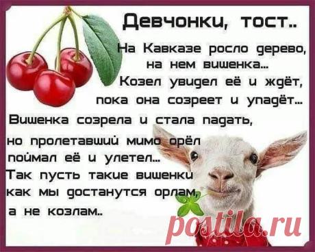 Google+