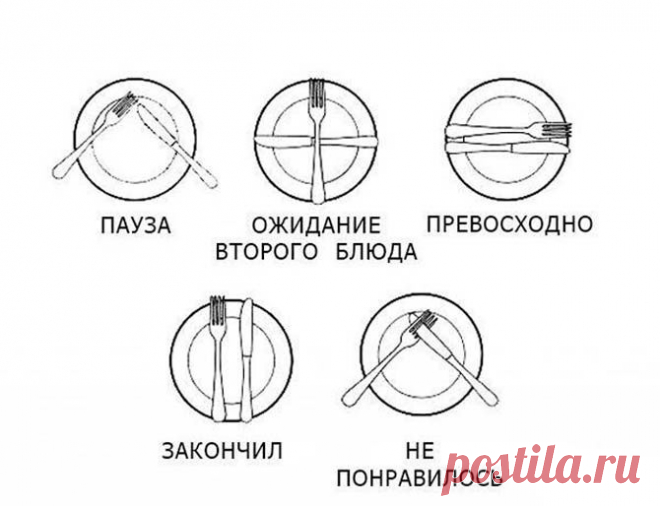 15 типичных нарушений ресторанного этикета | Психолог-и-Я