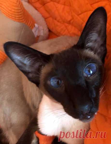 (2) Facebook