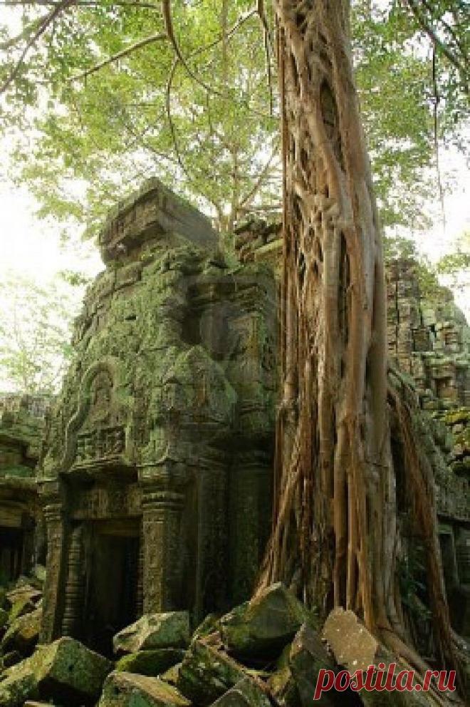 дворцы и дома