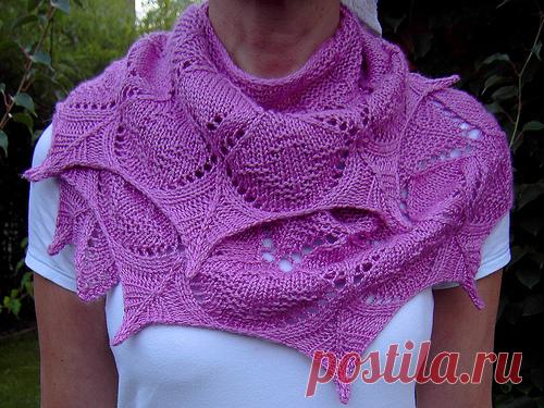 Шарф или вариант бактуса спицами