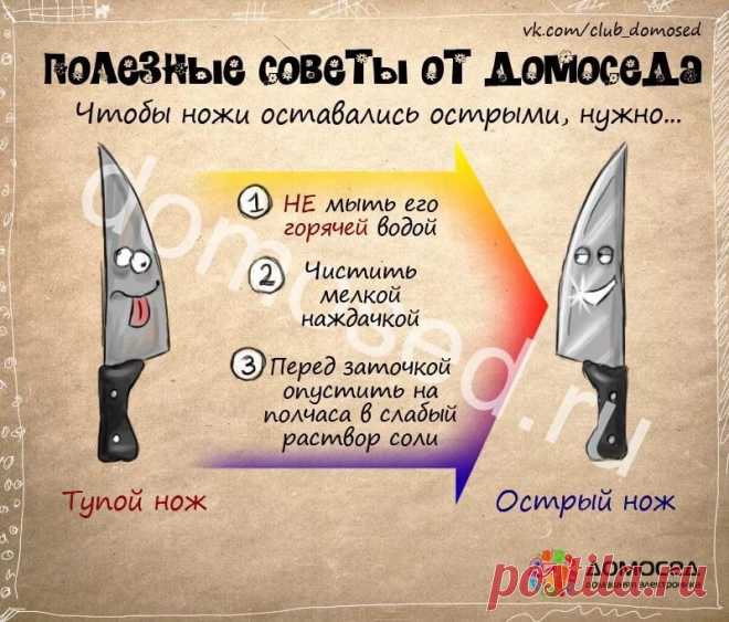 полезные советы на все случаи жизни: 14 тыс изображений найдено в Яндекс.Картинках