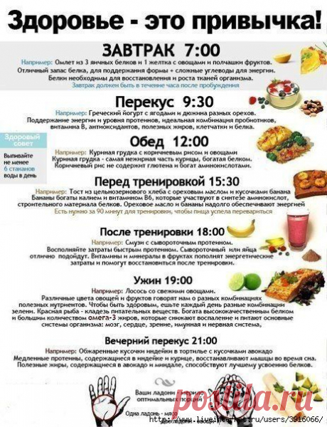 ЛУЧШАЯ ПАМЯТКА ПО ПРАВИЛЬНОМУ ПИТАНИЮ.