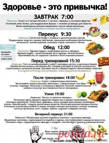 ЛУЧШАЯ ПАМЯТКА ПО ПРАВИЛЬНОМУ ПИТАНИЮ.
