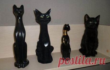 20 животных, которые маскируются как боги