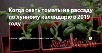 Когда сеять томаты на рассаду по лунному календарю в 2019 году Томаты являются самыми распространёнными овощами у огородников, ведь они очень вкусные, подходят для салатов и консервирования. Но чтобы вырастить прекрасные помидоры необходимо заранее подготовится к их посадки, чтобы они успели созреть в срок. Посев лучше всего осуществлять учитывая сорт и лунный календарь.
