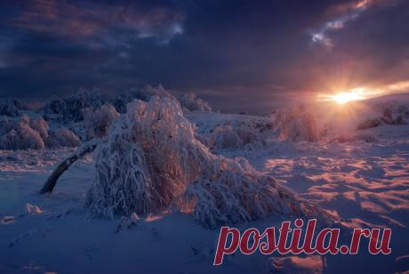 (1) Gallery.ru / Фото #1 - как много в мире красоты-4 - Vladikana