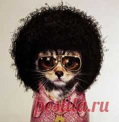 Famous faces 27 Знаменитые личности в животном обличье