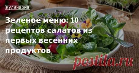 Вкусные и простые зеленые салаты