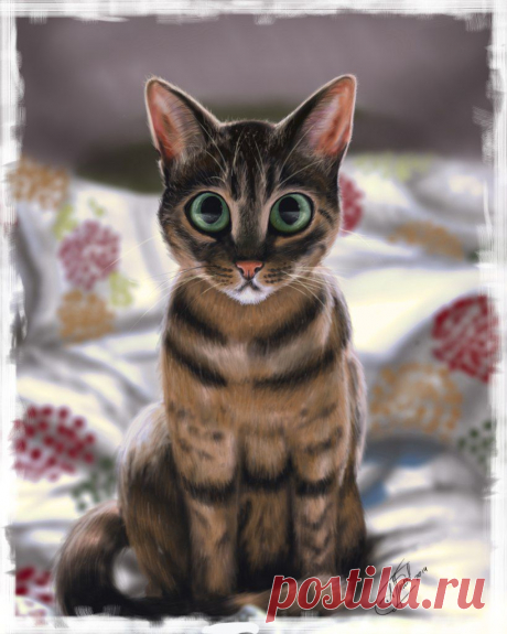 Анна Никифорчук