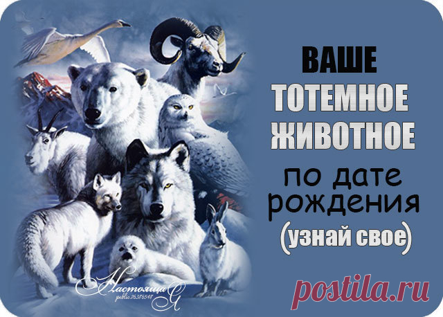 Мой Мир@Mail.Ru