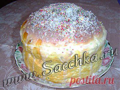 Панеттоне | рецепты на Saechka.Ru