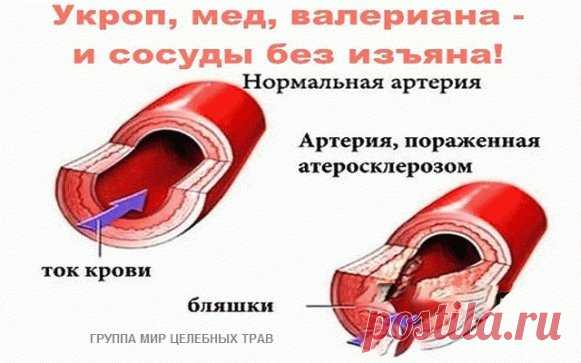 (46) Одноклассники