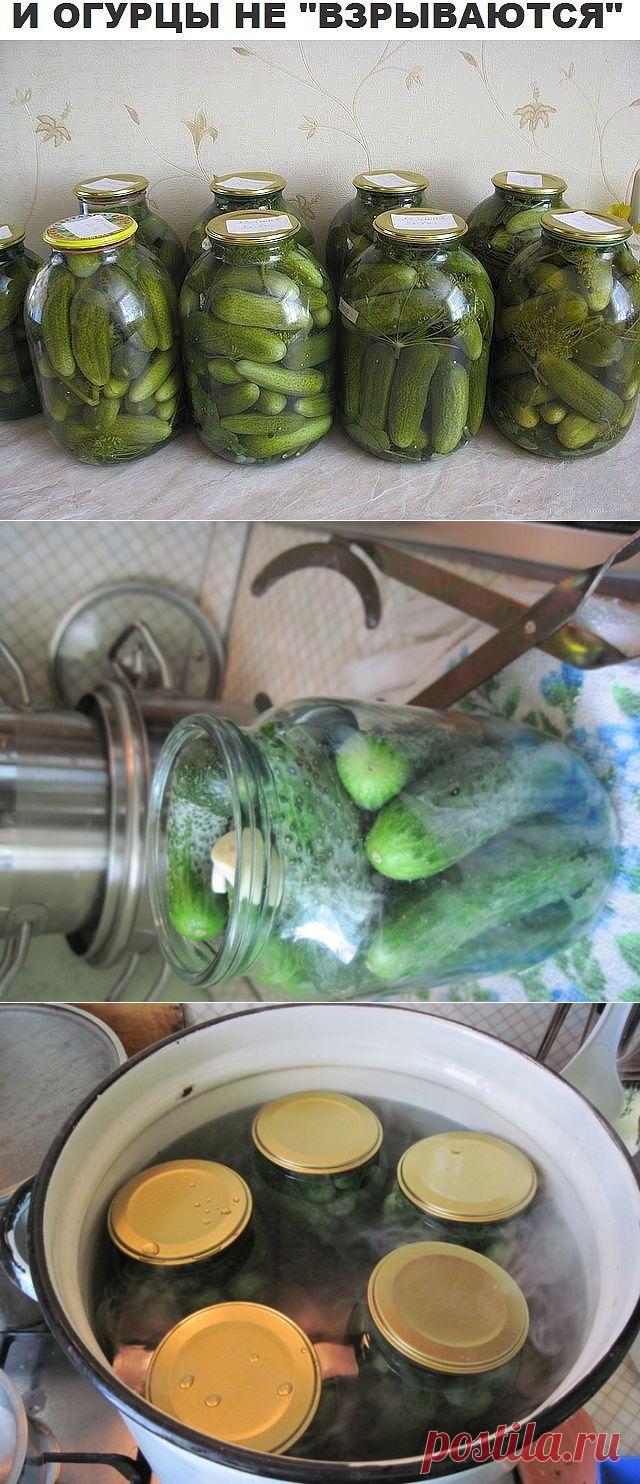 Способ засолки огурцов - чтобы банки никогда не взрывались!