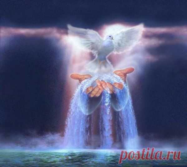 ╭დ╯СВЕТ ДУШИ╭დ╯