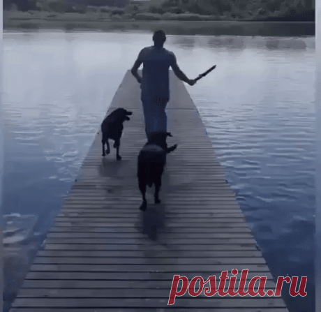 Ага сам плыви