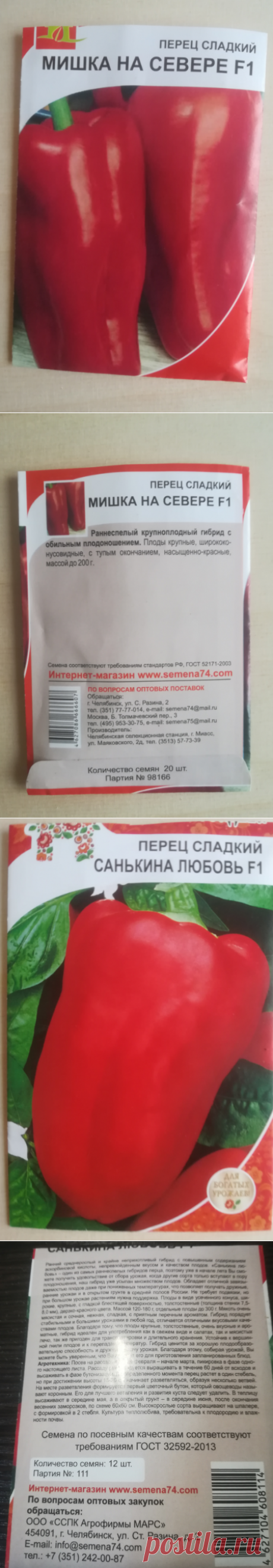 Все хвалят, и я захотела — выбрала на этот сезон два идеальных сорта перца— ранние, скороспелые, неприхотливые | Блоггерство на пенсии | Яндекс Дзен