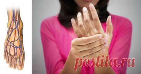 Плохая циркуляция крови, холодные ноги и руки? Вот как решить вашу проблему за ночь! После того, как я начала использовать эти методы, мое кровообращение нормализовалось и больше мои ноги не мёрзнут! Плохое кровообращение – это неприятный вопрос, затрагивающий почти всех. Чаще всего он затрагивает конечности и влияет на кровоток по всему телу. Ослабленные кровеносные сосуды и сидячий образ жизни являются основными причинами этого состояния. Оно не требует немедленной медицинской …