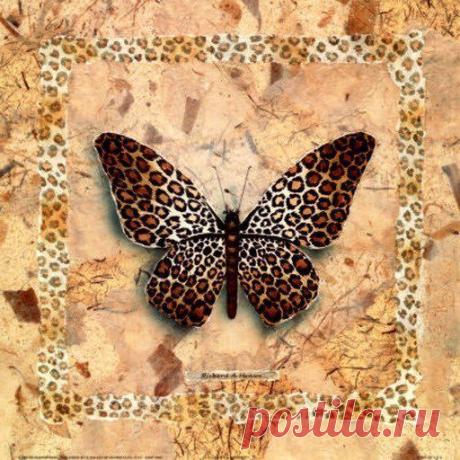 Картинки для творчества | 1 772 фотографии | ВКонтакте