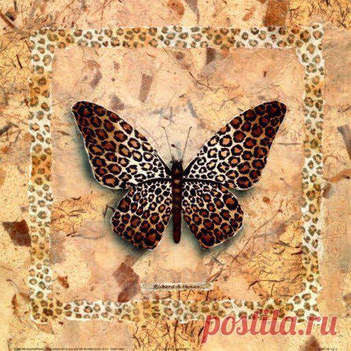 Картинки для творчества | 1 772 фотографии | ВКонтакте