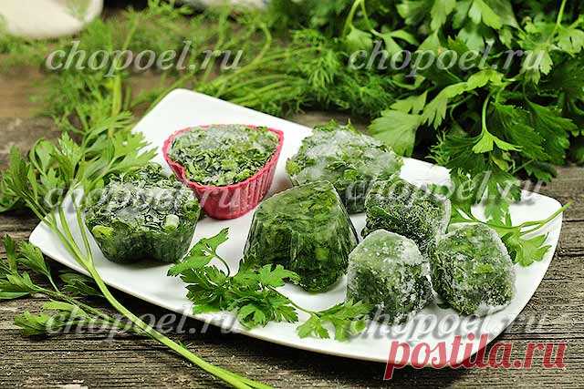 Как заморозить зелень на зиму – два способа заморозки кубиками