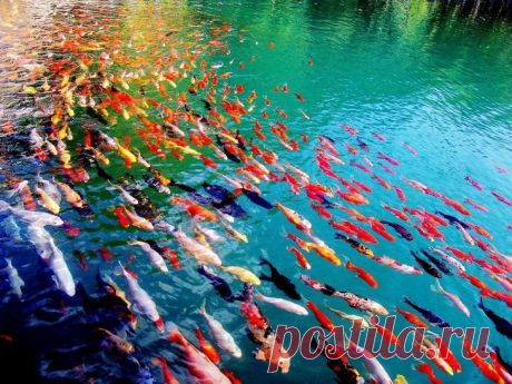 27 фото, которые доказывают, что мир прекрасен и без фотошопа