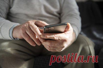 Россиянам рассказали о способах распознавания фейковых сообщений от «Госуслуг»