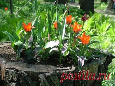 Фотографии на стене сообщества | 32 879 фотографий