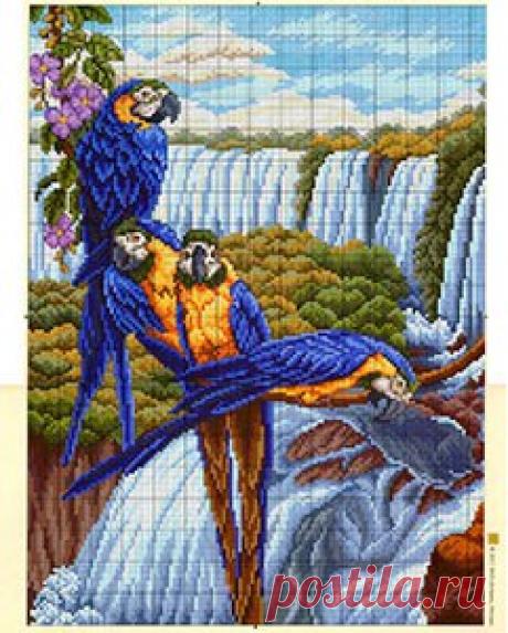 Вышивка крестом попугай. Бесплатные схемы вышивки крестом попугай |
