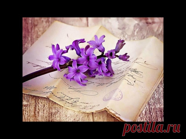 Юрий Пахомов