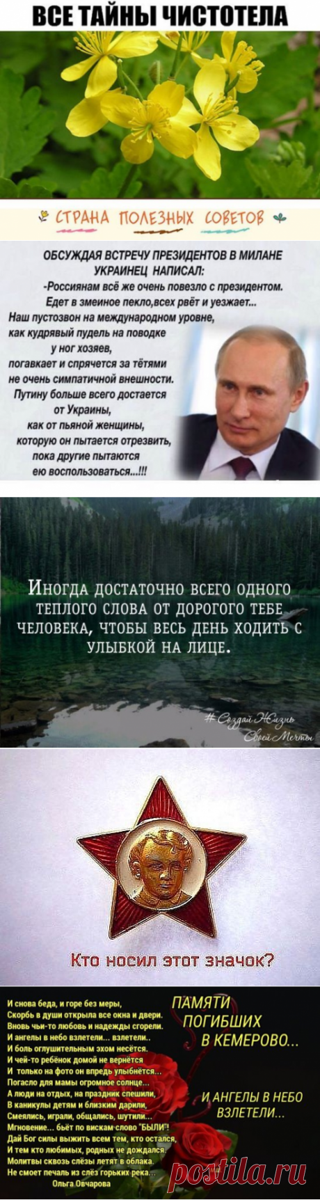 (4) Одноклассники