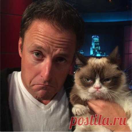 Grumpy Cat за 2 года обогатила свою хозяйку на 100 миллионов долларов (20 фото)