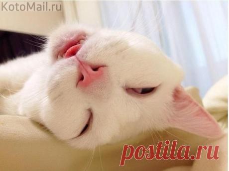 Настроение: сильно устал