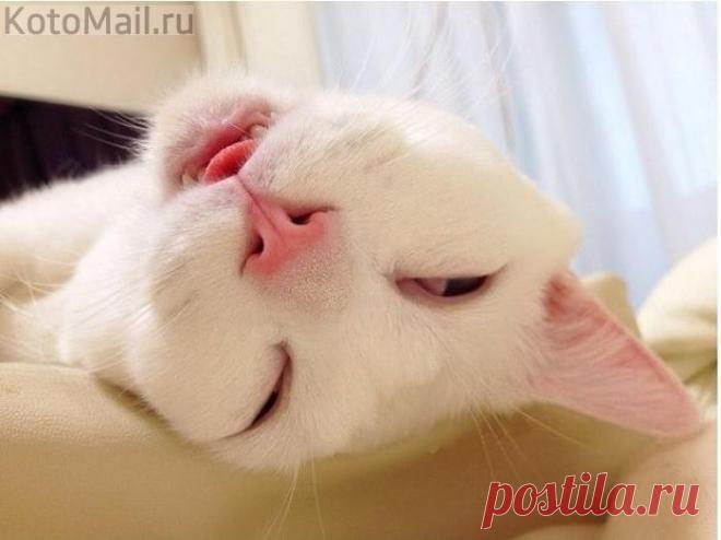 Настроение: сильно устал