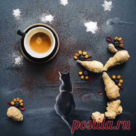 В гостях у Кошки