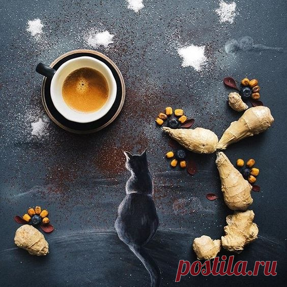 В гостях у Кошки