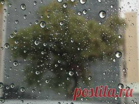 Google+