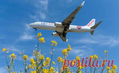 Por qué vuelan los aviones: explicación detallada Te explicamos de forma detallada por qué vuelan los aviones y cómo se llegó a descubrir. Aprende más de ello aquí