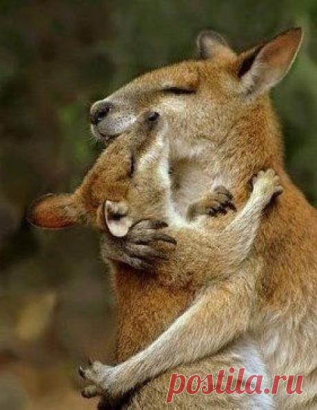 Одним словом ...... МАМА