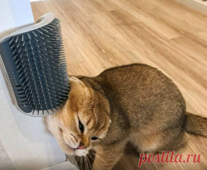 13 вещей, которые упростят нам жизнь, а мы о них и знать не знали