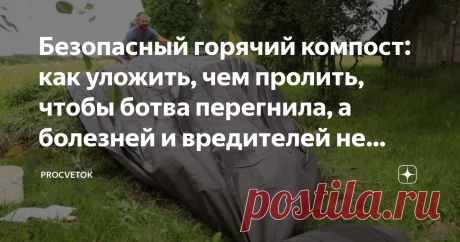 Безопасный горячий компост: как уложить, чем пролить, чтобы ботва перегнила, а болезней и вредителей не осталось Сезон подходит к концу, вовсю идет сбор урожая, и за это время на участке накапливаются горы всевозможной ботвы,  в том числе с явными признаками заболеваний. Возникает вопрос: куда же  девать такую ботву? Конечно, можно выбросить, но можно и применить на пользу огороду. Как же использовать больную ботву? Как из нее приготовить компост, чтобы «добро» не пропадал...