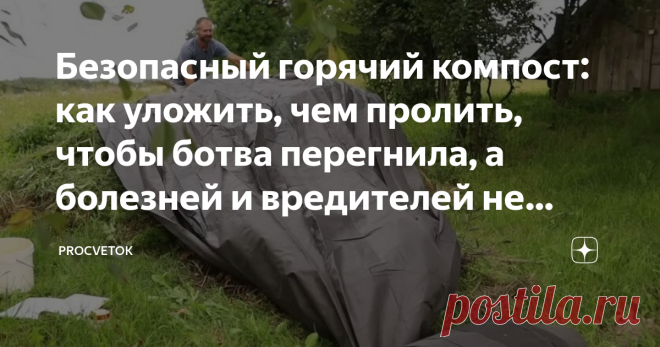 Безопасный горячий компост: как уложить, чем пролить, чтобы ботва перегнила, а болезней и вредителей не осталось Сезон подходит к концу, вовсю идет сбор урожая, и за это время на участке накапливаются горы всевозможной ботвы,  в том числе с явными признаками заболеваний. Возникает вопрос: куда же  девать такую ботву? Конечно, можно выбросить, но можно и применить на пользу огороду. Как же использовать больную ботву? Как из нее приготовить компост, чтобы «добро» не пропадал...