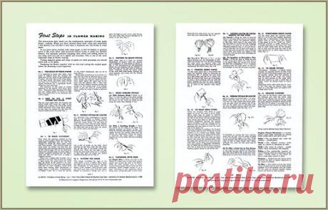 Craft Shop: First Steps in Crepe Paper Flower Making Craft Instruction Sheets on Blumchen.com