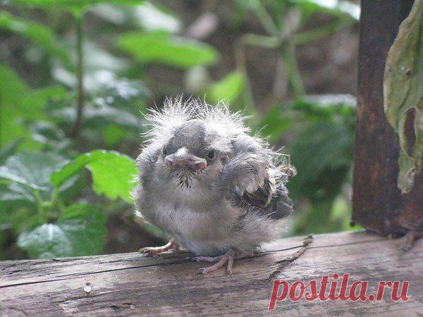 Интересные новости