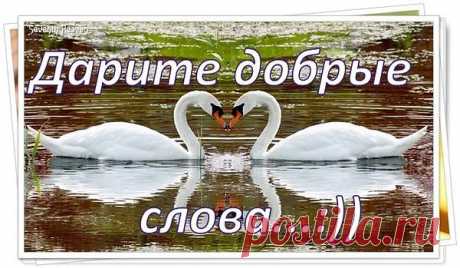 Не бросайтесь на ветер словами,
Думать надо, потом говорить.
Мы поступками прежде, делами,
Можем нежность и боль причинить.
Каждой фразой способны разрушить,
Дружбу, чувства, как тонкую нить.
Град упрёков и хулы обрушить,
Сердце будто рапирой пронзить.
Или лаской и добрым вниманием,
Поддержать у последней черты,
К тем, кто слабый своим состраданием,
Окрылить, чтобы снять кандалы.
Чтобы сбросили путы отчаянья,
Чтобы вновь захотелось им жить.
Дабы не было в душах терзания,