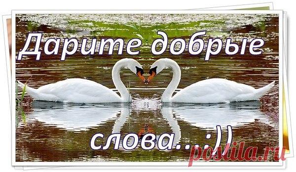 Не бросайтесь на ветер словами,
Думать надо, потом говорить.
Мы поступками прежде, делами,
Можем нежность и боль причинить.
Каждой фразой способны разрушить,
Дружбу, чувства, как тонкую нить.
Град упрёков и хулы обрушить,
Сердце будто рапирой пронзить.
Или лаской и добрым вниманием,
Поддержать у последней черты,
К тем, кто слабый своим состраданием,
Окрылить, чтобы снять кандалы.
Чтобы сбросили путы отчаянья,
Чтобы вновь захотелось им жить.
Дабы не было в душах терзания,